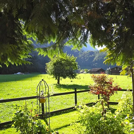 Mountain Urweider Innertkirchen