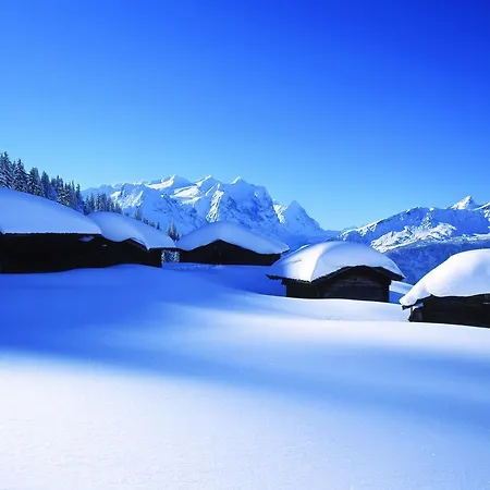 Mountain Urweider Innertkirchen