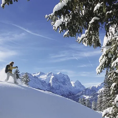 Mountain Urweider