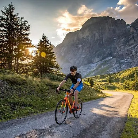 Hostel Mountain Urweider Innertkirchen