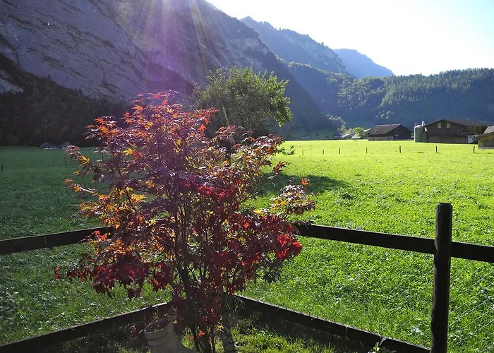 Mountain Urweider * Innertkirchen