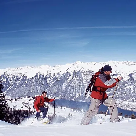 乌尔韦德山庄旅舍 *