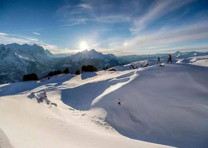 ماونتين لودج أورفايدير بيت شباب انترتكيرشن